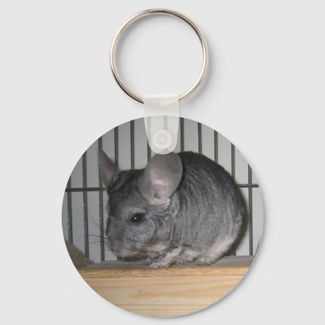 Finally Home Chinchillas: Cheeko Key Ring (Front)