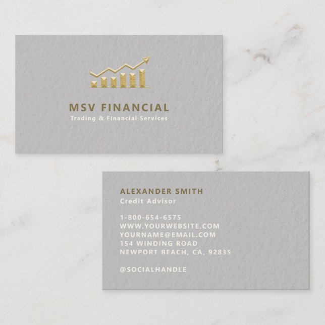 Finance Faux Embossed Gold Modern Professional Business Card (Front/Back)