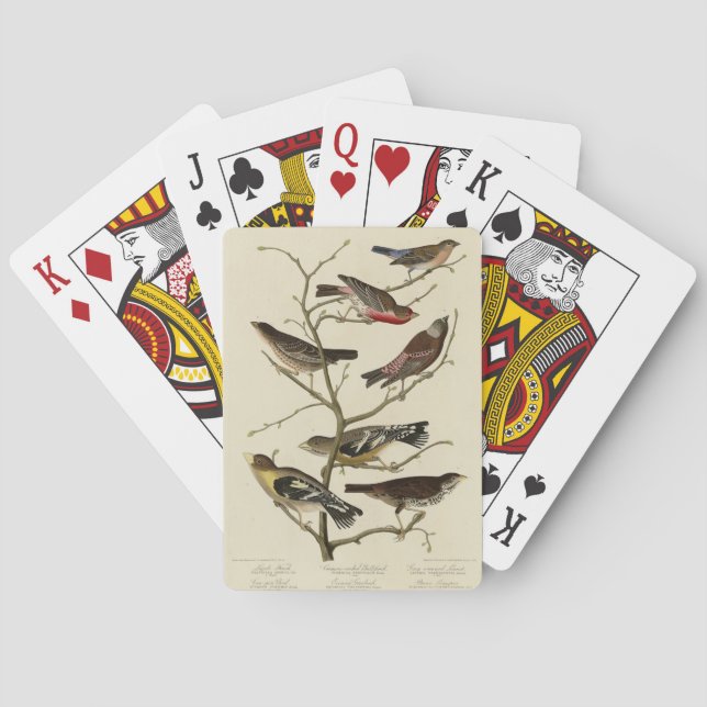 Finch, Bunting, Grosbeak, Audubon Birds of America Playing Cards (Back)