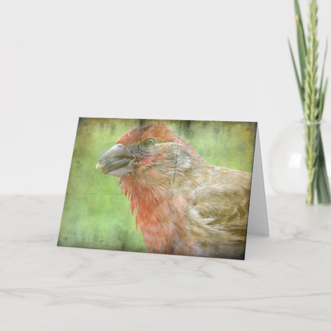 Finch Card (Front)