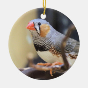 Finch Ceramic Tree Decoration