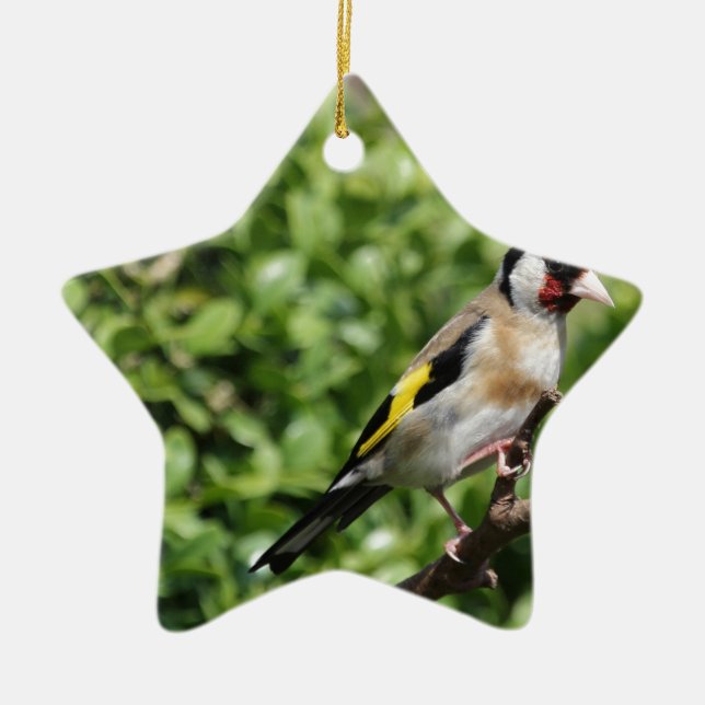 FInch Ceramic Tree Decoration (Front)