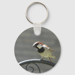 finch key ring