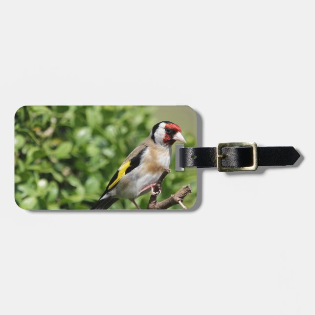FInch Luggage Tag (Front Horizontal)