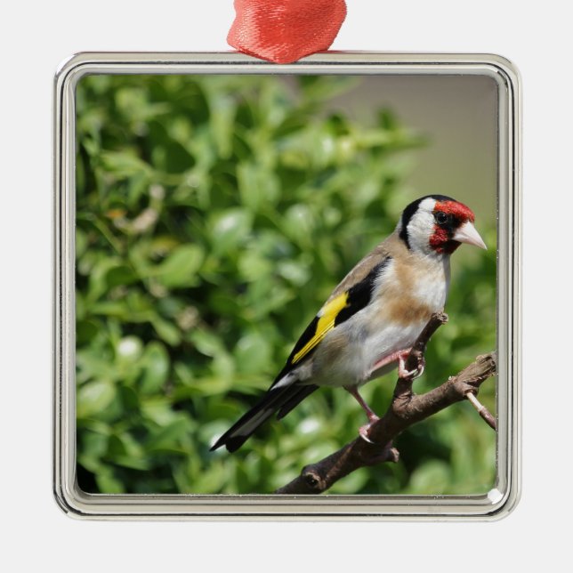 FInch Metal Tree Decoration (Front)