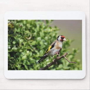 FInch Mouse Pad