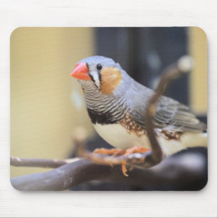 Finch Mouse Pad
