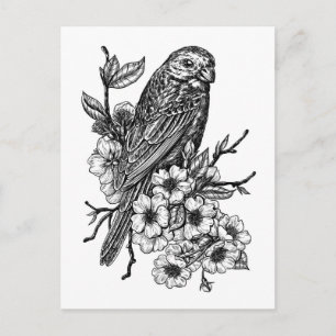 Finch on cherry branch postcard