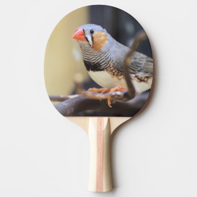 Finch Ping Pong Paddle (Front)