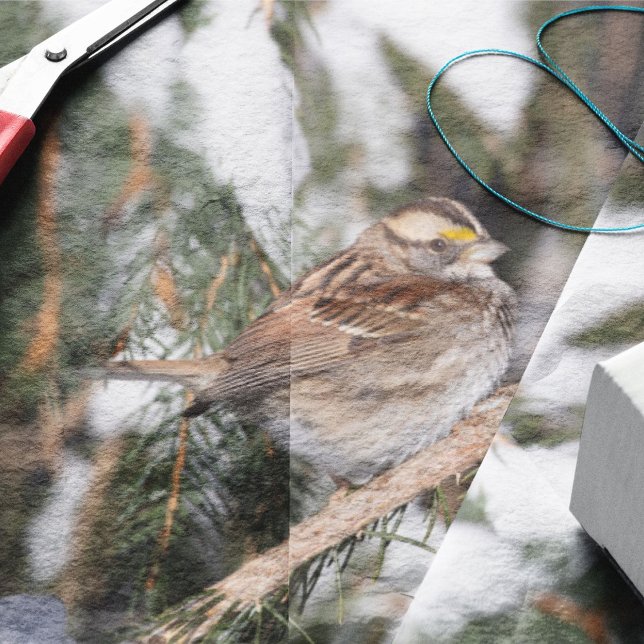 Finch Sitting On Pine Branch Tissue Paper (Creator Uploaded)