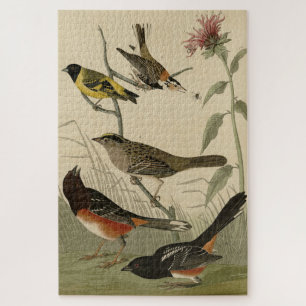 Finch, Towhee, Sparrow, Audubon's Birds of America Jigsaw Puzzle