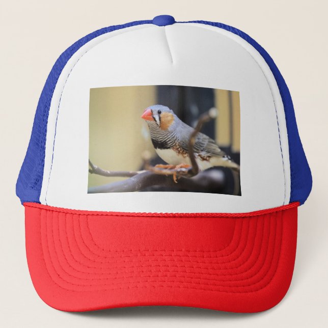 Finch Trucker Hat (Front)
