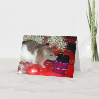 Finch's Parcel Holiday Card