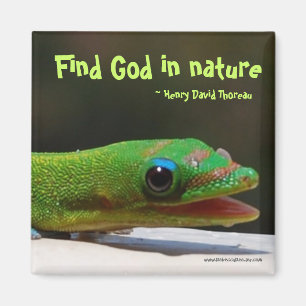 Find God in nature Magnet