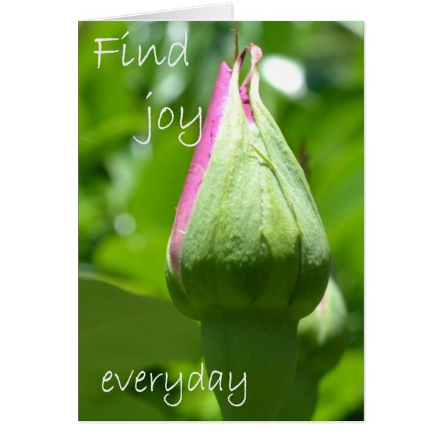 Find Joy Everyday (Front)