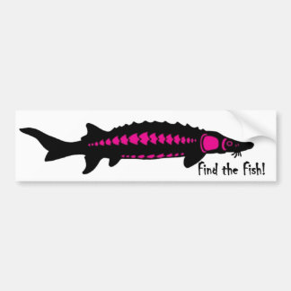 find the fish, PINK2 Bumper Sticker
