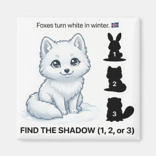 Find the Shadow – Arctic Fox Learning Magnet