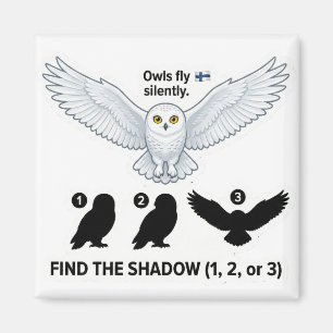Find the Shadow – Snowy Owl Learning Magnet