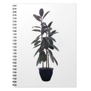 Find Your Perfect Match: Best Notebook Designs