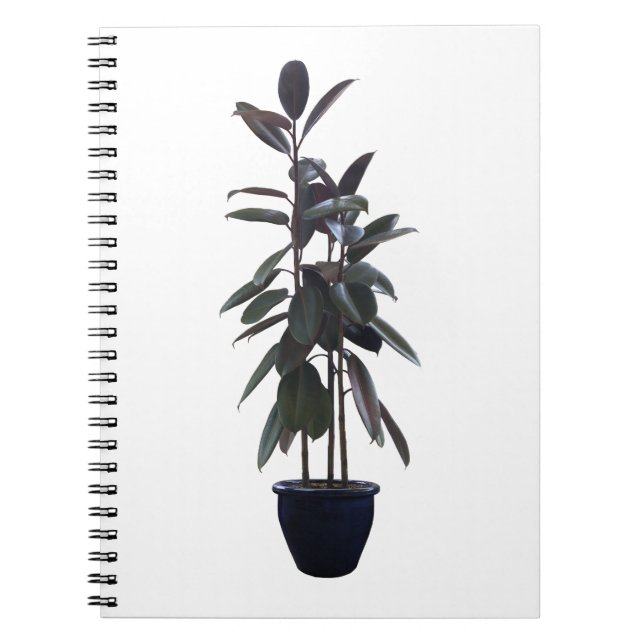 Find Your Perfect Match: Best Notebook Designs (Front)