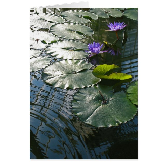 Finding peace card (Front)