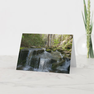 Findlay Falls I Card