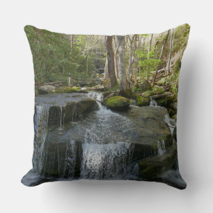 Findlay Falls I Cushion