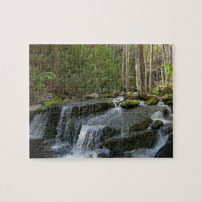 Findlay Falls II Jigsaw Puzzle (Horizontal)