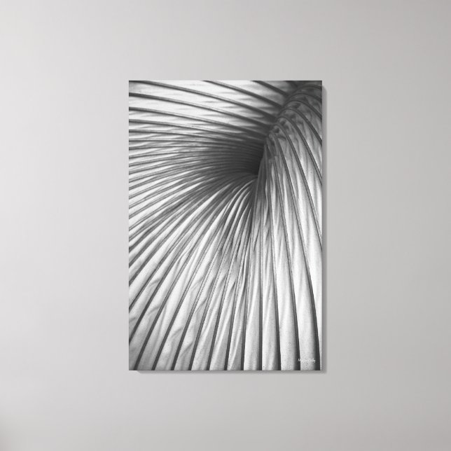 Fine Art, Abstraction Extraction Canvas Print (Front)