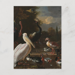 Fine art birds postcard