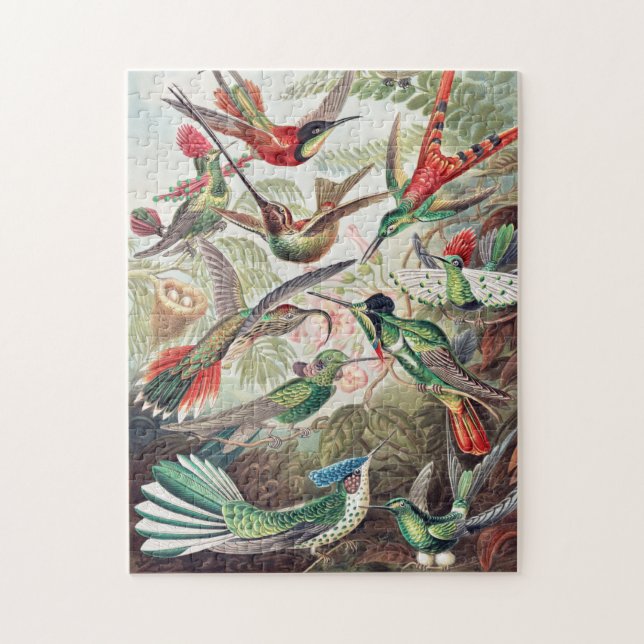 Fine Art by Ernst Haeckel Jigsaw Puzzle (Vertical)