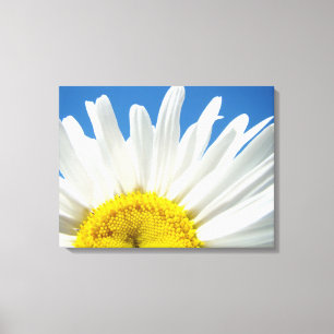 Fine Art Canvas White Daisy Flower Blue Sky Print