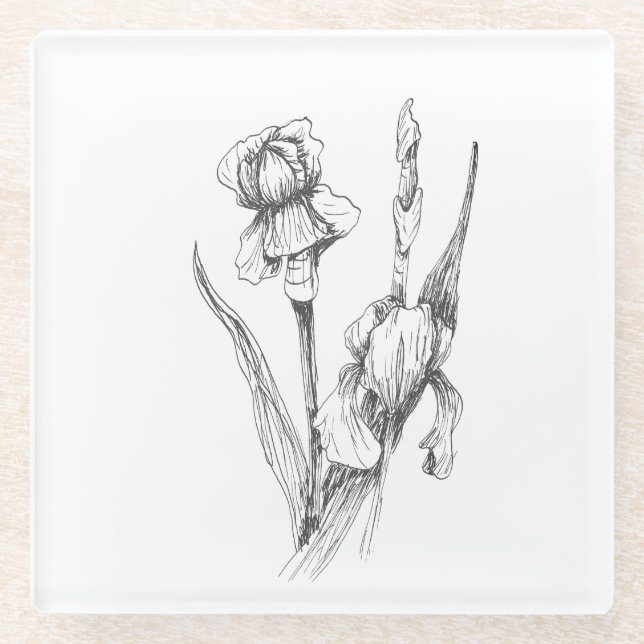 Fine Art Drawing, Iris Flower, Botanical Art  Glass Coaster (Front)