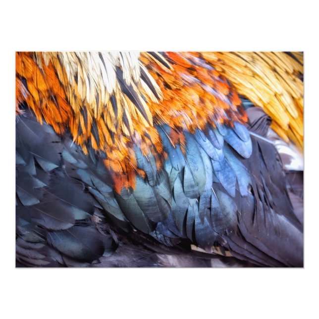 Fine Art Feather Photo Print (Front)