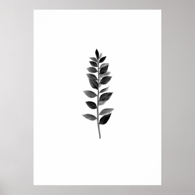Fine Art Nature Poster (Front)