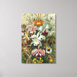 Fine Art Orchids - Art Forms of Nature Canvas Print