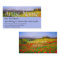 Fine Art Painter Artist's Business Card Template