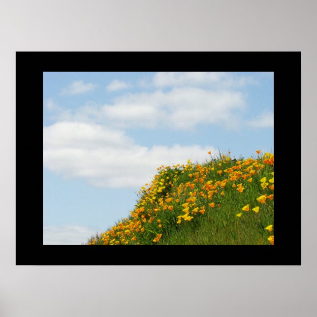 Fine Art Prints Blue Sky Summer Poppy Meadow (Front)