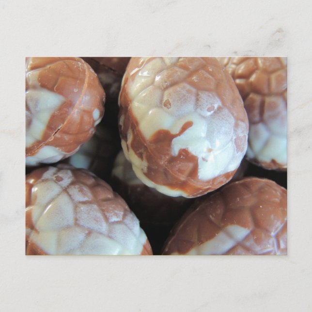 Fine Belgian chocolate Easter eggs, customisable Holiday Postcard (Front)