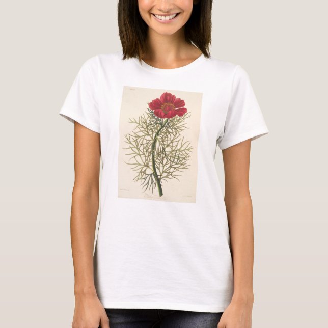 Fine Leaved Paeony T-Shirt (Front)