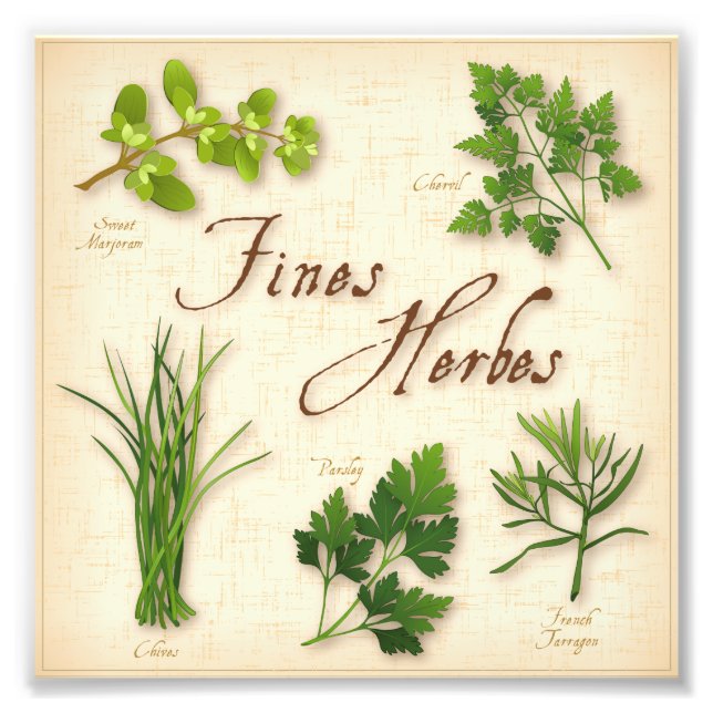 Fines Herbes Photo Print (Front)