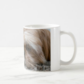 Finish your Coffee yet?  Let's play! Mug