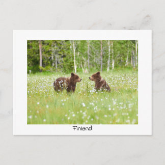 Finland bear nature postcard