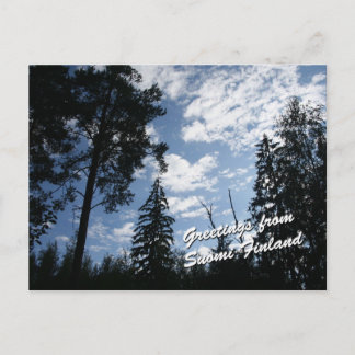 Finland Forest Postcard