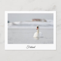 Finland souvenir postcard