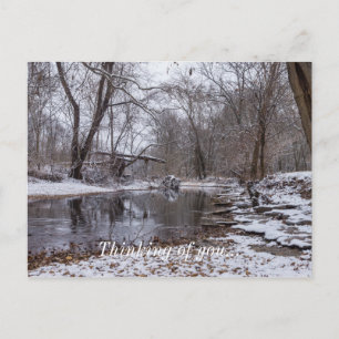 Finley Winter Snow Thinking Of You Postcard