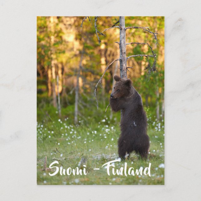 Finnish / Finland nature postcard (Front)
