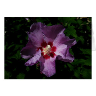 Finnish-Hyvää Syntymäpäivää-purple flower