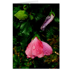 Finnish-Hyvää Syntymäpäivää-raindrops