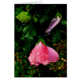 Finnish-Hyvää Syntymäpäivää-raindrops